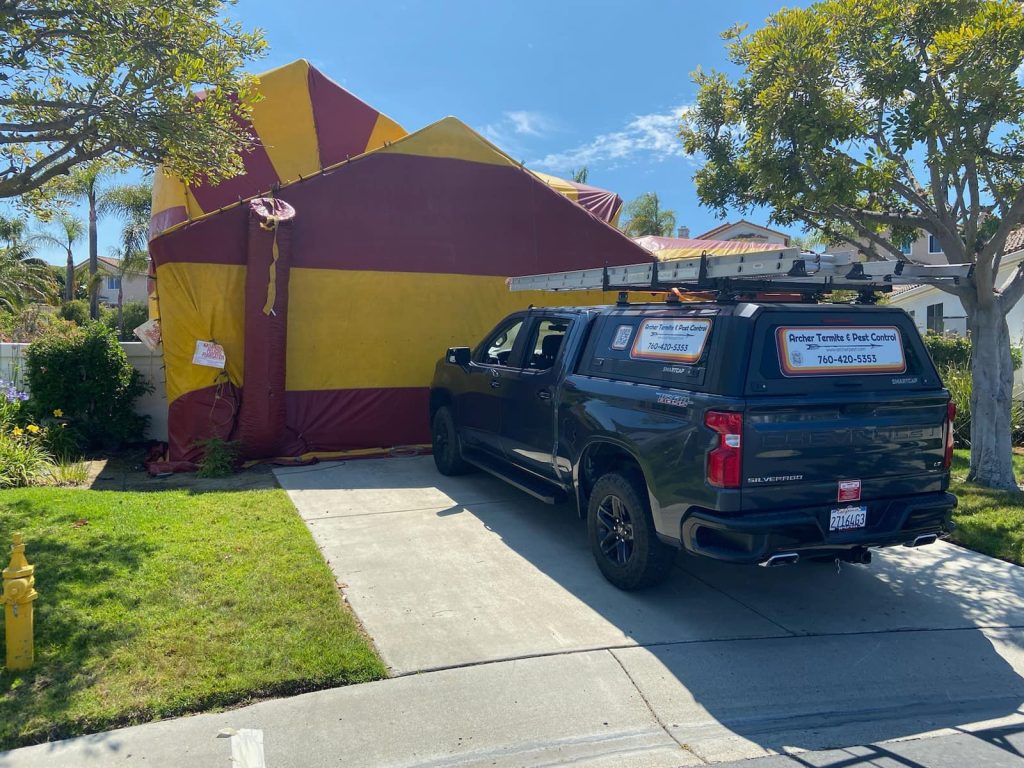 Reliable Home Pest Control Services in the Escondido Area tent