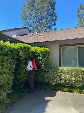 Contact Trusted Pest Control Experts in the Escondido Area exterminator