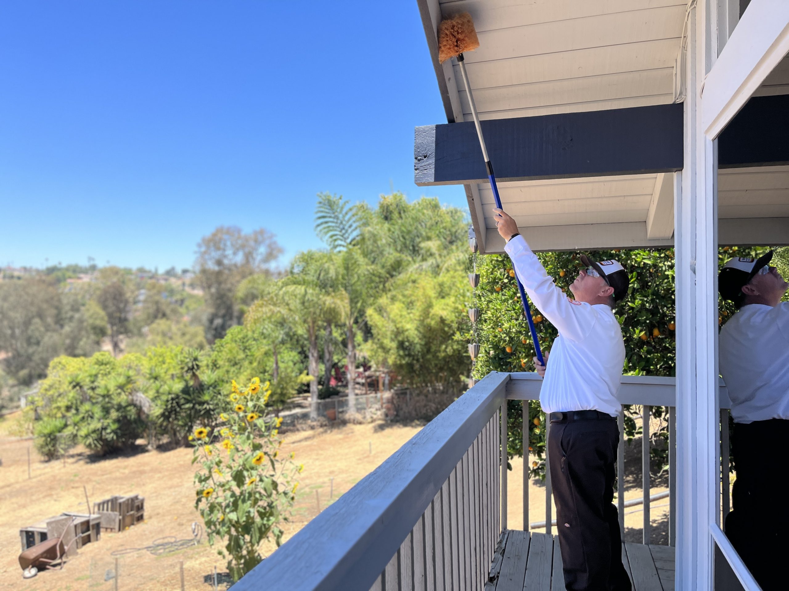 Reliable pest control services in Escondido, San Marcos & Carlsbad. Protect your home from termites, rodents & bed bugs with expert solutions.