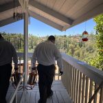 Archer Termite & Pest Control -