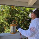 Archer Termite & Pest Control -