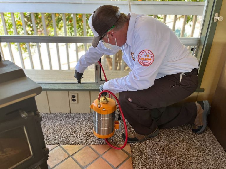 Professional Pest Control Services in the Escondido Area team