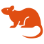 mouse (2)